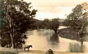old photograph of a horse and cart on their way to kimo estate in Gundagai alongside the Murrumbidgee river