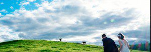 Rustic farm wedding