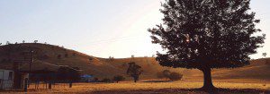 boutique accommodation NSW