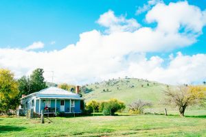 Accommodation in Gundagai that is pet friendly and self contained