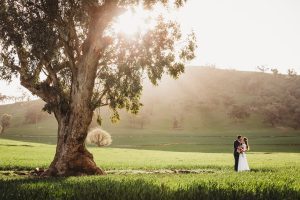 stunning Australian scene of a wedding from Sydney. Bride and groom standing in a paddock in New South Wales in the autumn with a green wheat crop and gum tree. A very Australian wedding photo