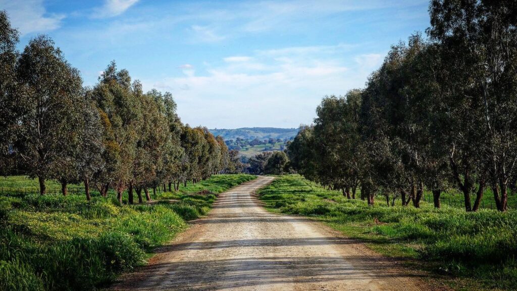 Instagram 18247367029201972 → Kimo Estate Gundagai Kimo Estate Accommodation Gundagai