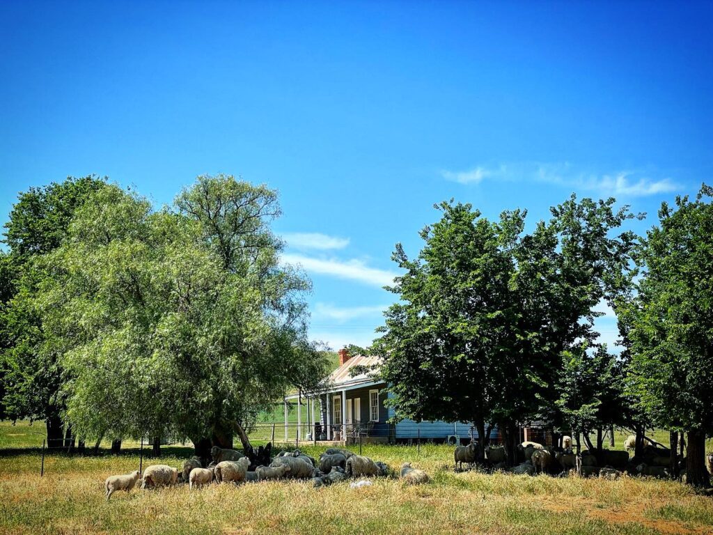Instagram 17909964089838687 → Kimo Estate Gundagai Country Cottage in Gundagai at Kimo Estate