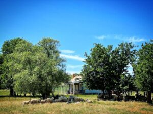 Country Cottage in Gundagai at Kimo Estate