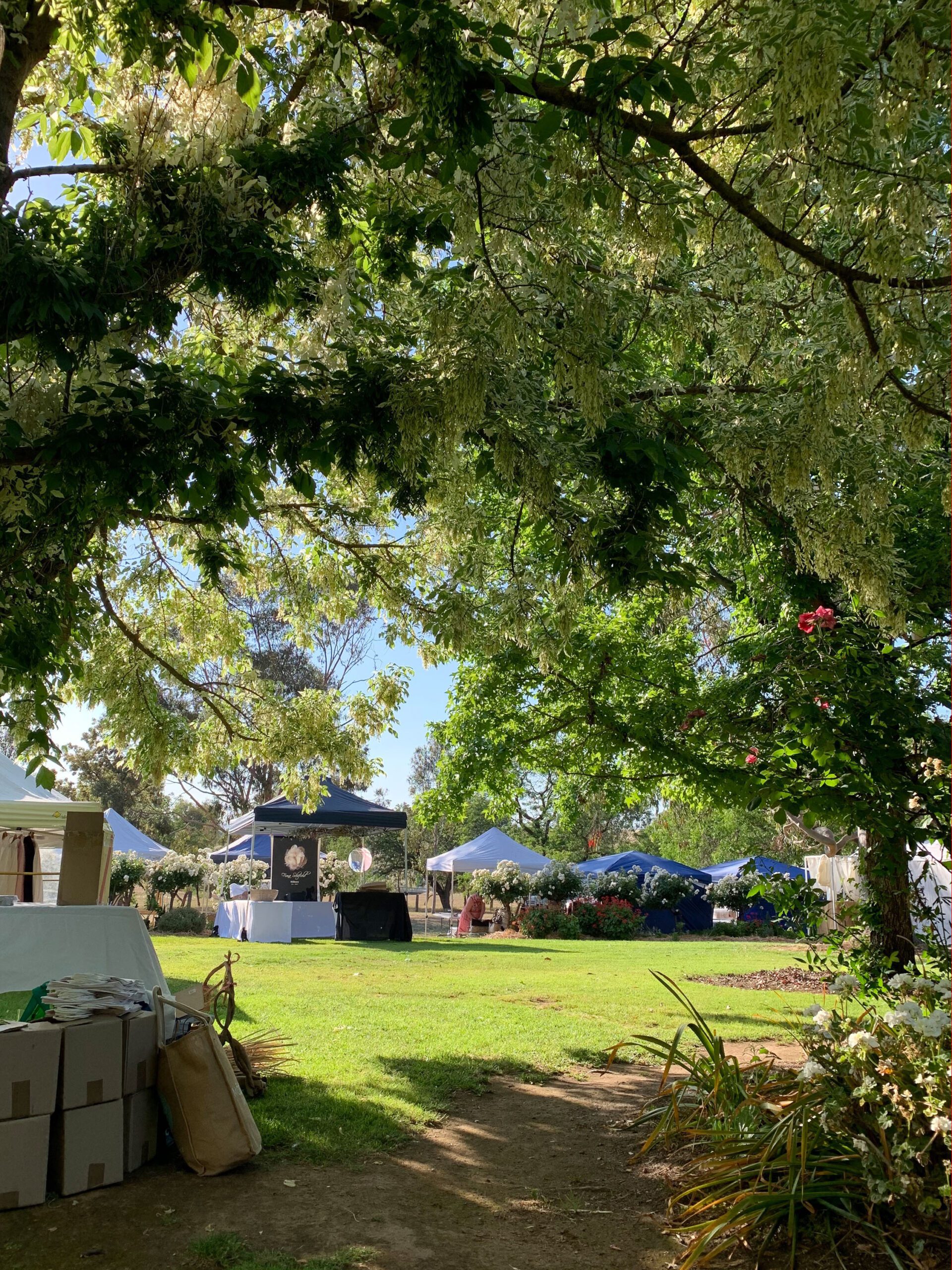 Christmas markets at Kimo Estate