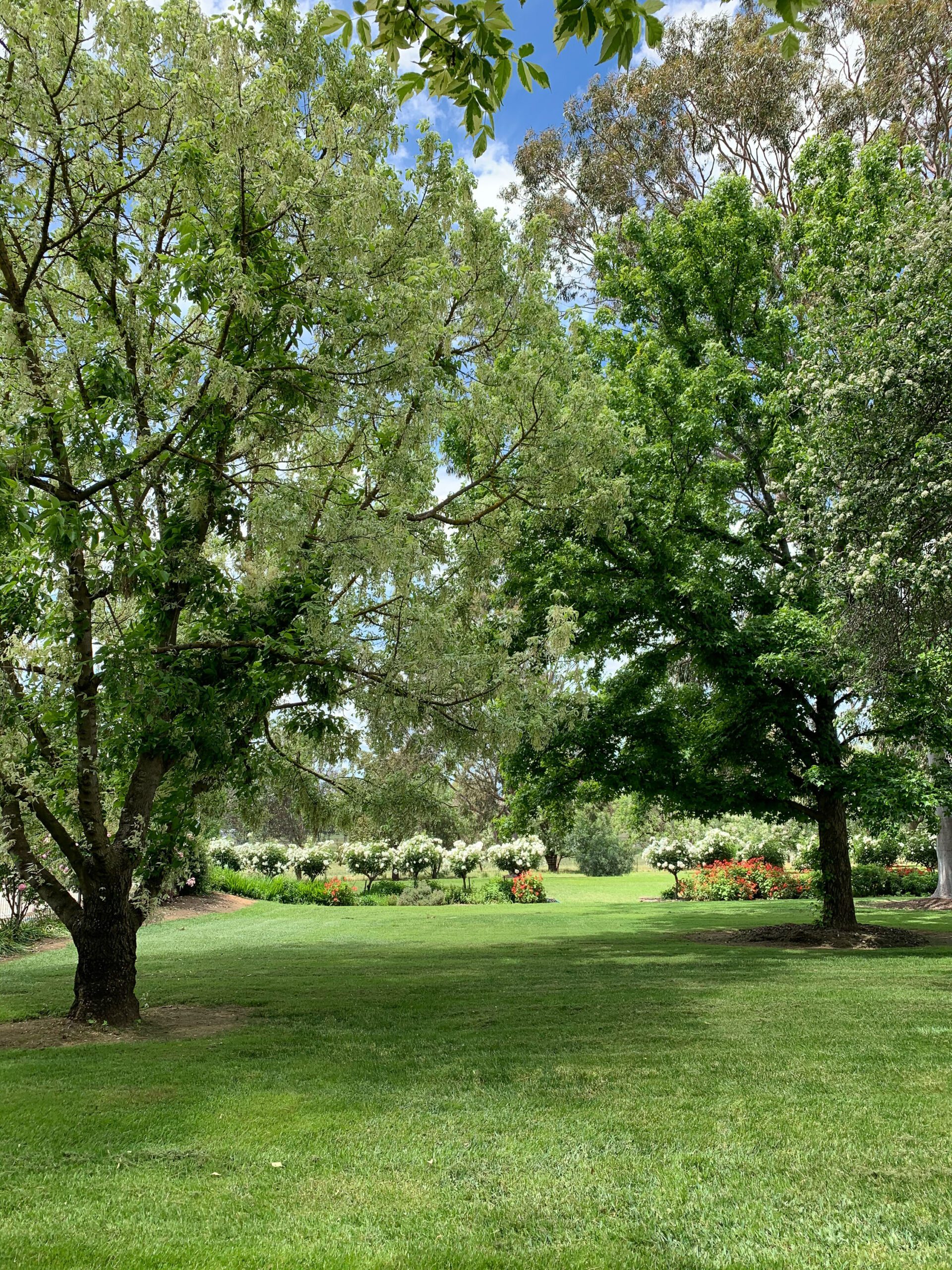 The garden at Kimo Estate for weddings and events
