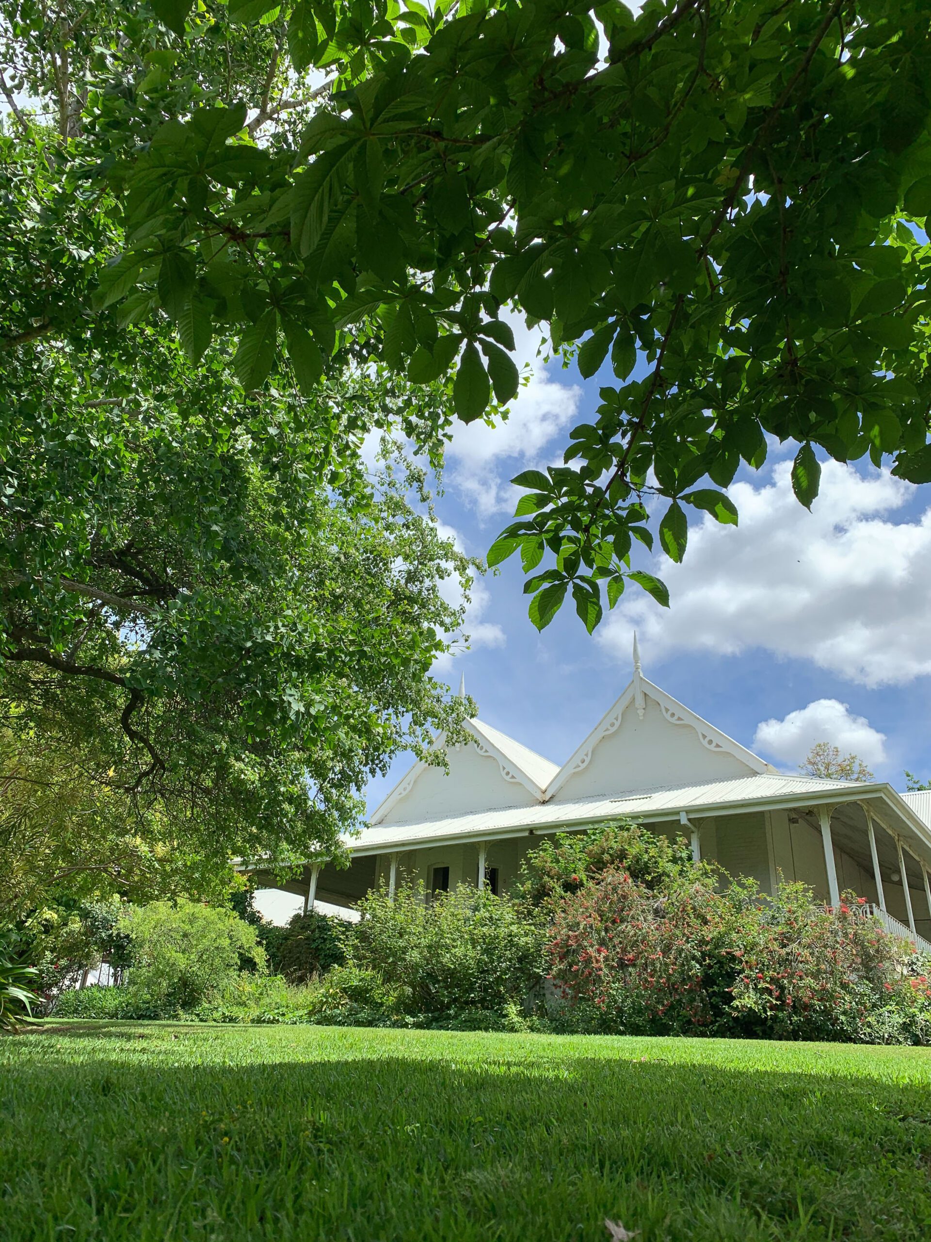 The garden at Kimo Estate for weddings and events