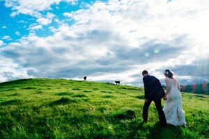 A bride and groom walking through green grass towards a hill with two cows