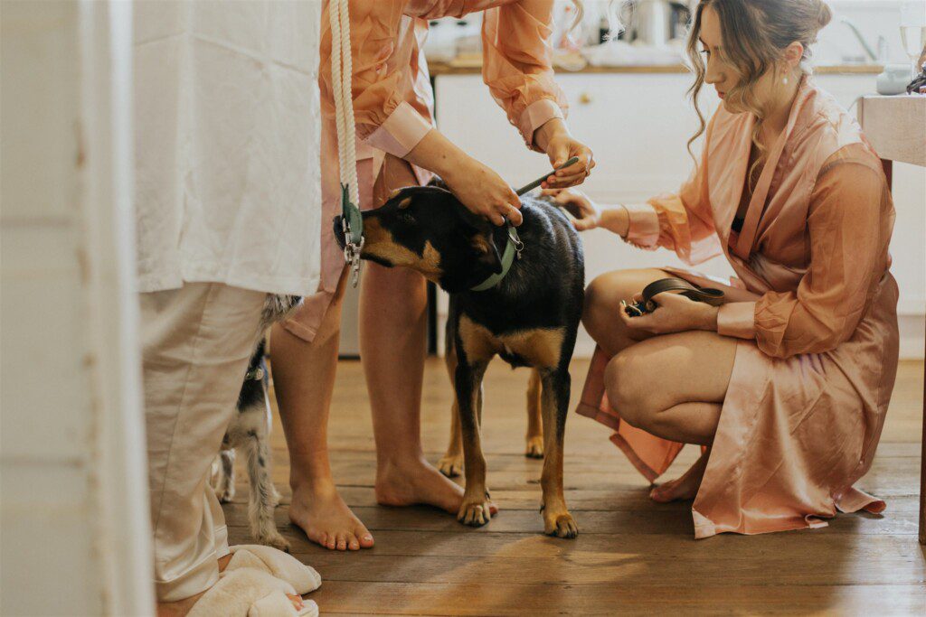 dog getting patted by the bridesmaids