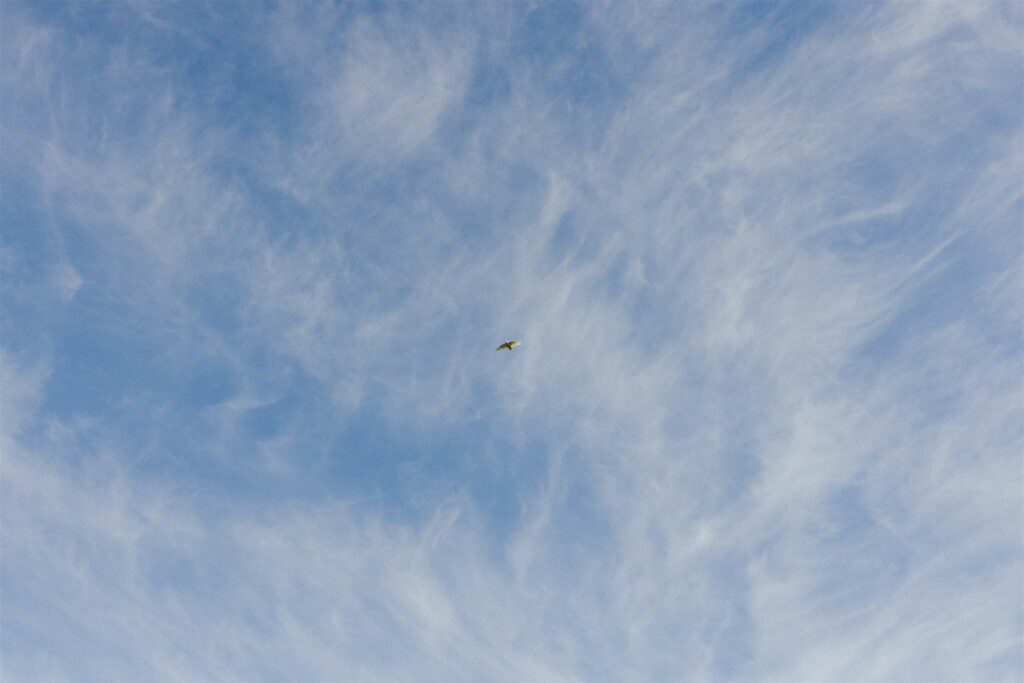 Blue sky for wedding day