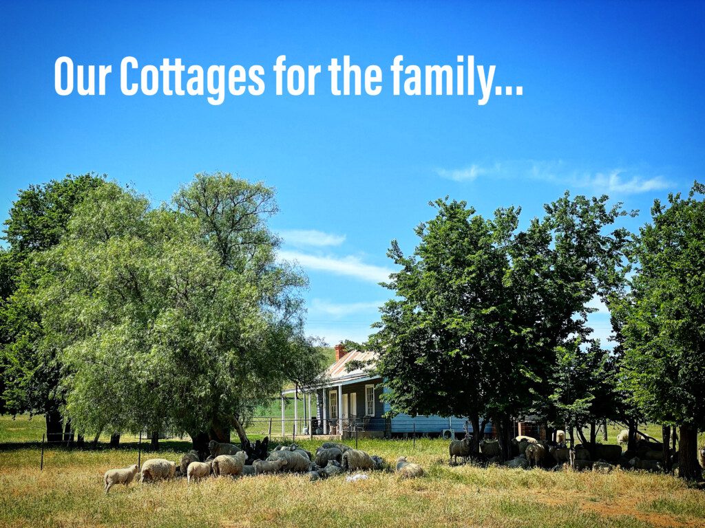 cottage and sheep on a clear blue day with "our cottages for the family" written on it.