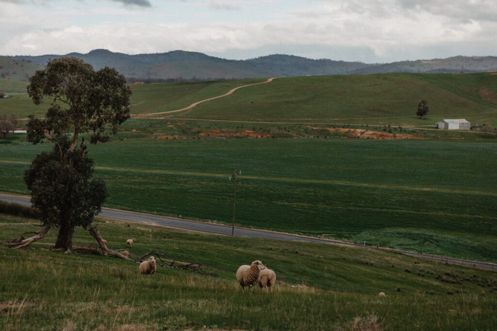 045A4032 → Kimo Estate Gundagai