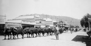 Wool from the farm at Kimo Estate heading off to market on the train. Historic photograph of the Main Street of Gundagai.